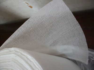 除塵粘布/卷裝粘塵布/擦拭粘塵布(廣東一家粘塵布生產(chǎn)商)