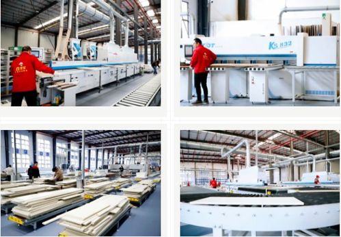 雪寶集團 大國工匠，家居典范