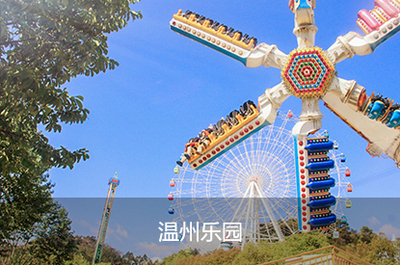 溫州網(wǎng)站建設(shè)與數(shù)字服務(wù)全指南 從網(wǎng)頁設(shè)計到APP開發(fā)