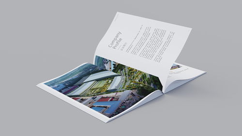 溫州企業形象與食品品牌宣傳冊設計 融合網頁設計理念的視覺新篇